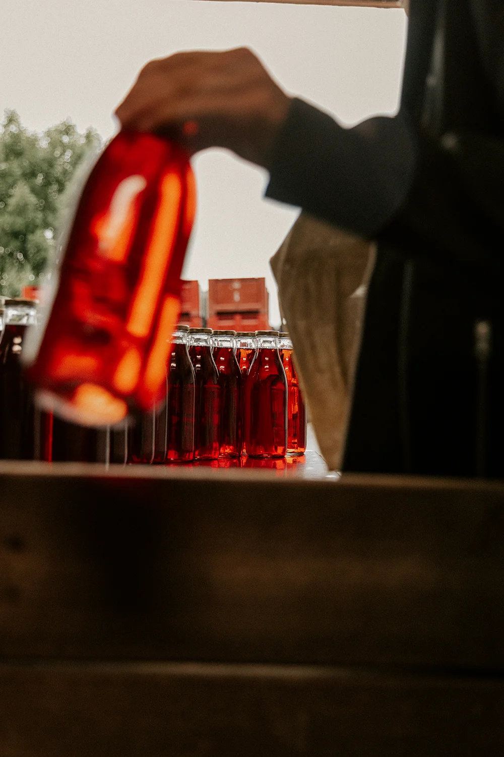 Mise en bouteille du jus de la Maison Pouget