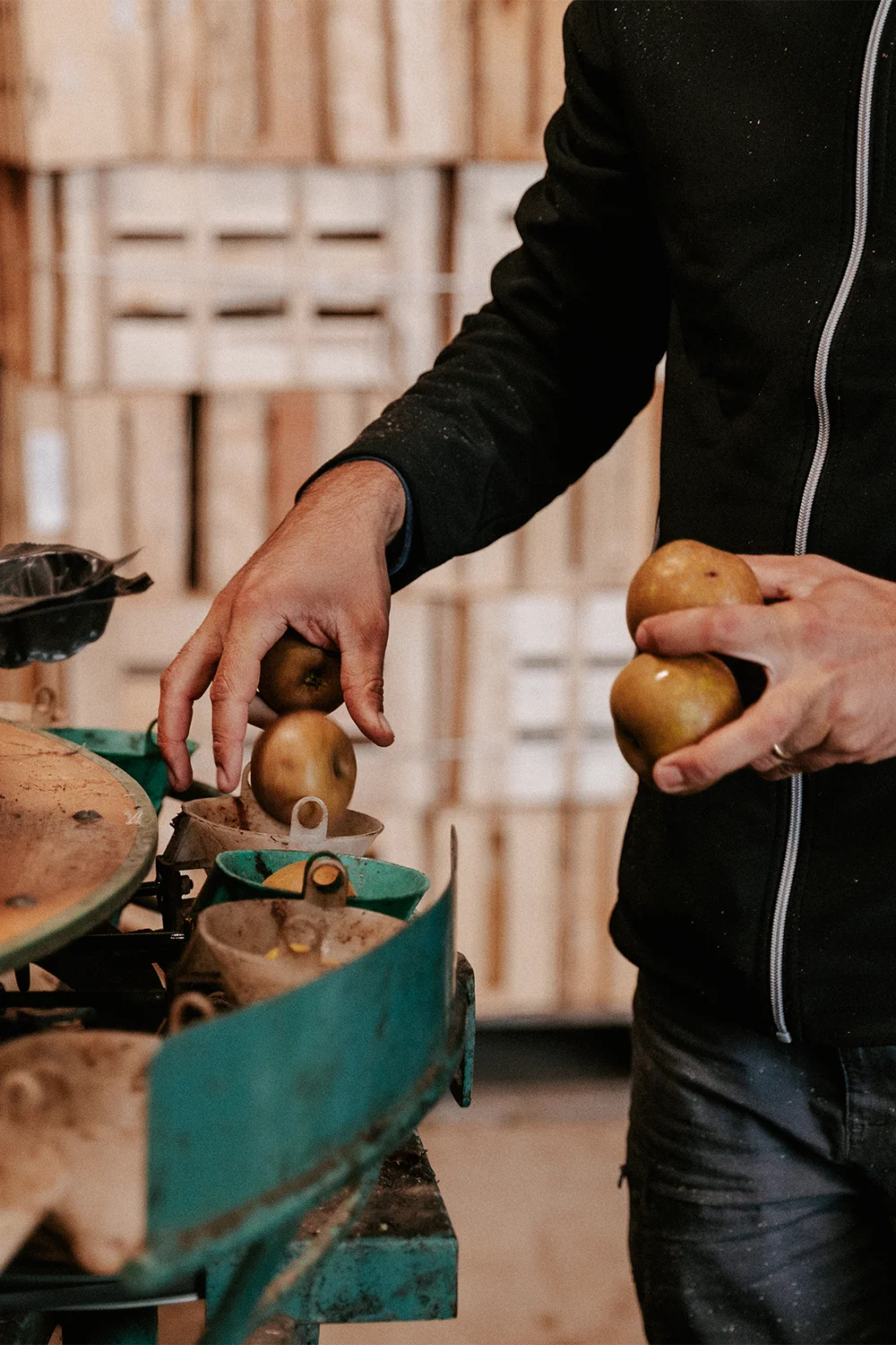 Pommes de la Maison Pouget
